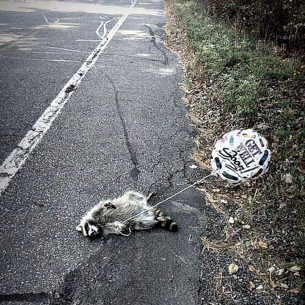 Meet your Posher, M.m.